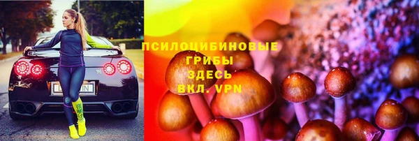 PSILOCYBIN Верхнеуральск